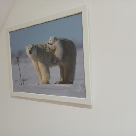 A 4 Min Du Zoo De Beauval La Maison A Partager Ch4 2Eme Etage Saint-Aignan  Exterior photo