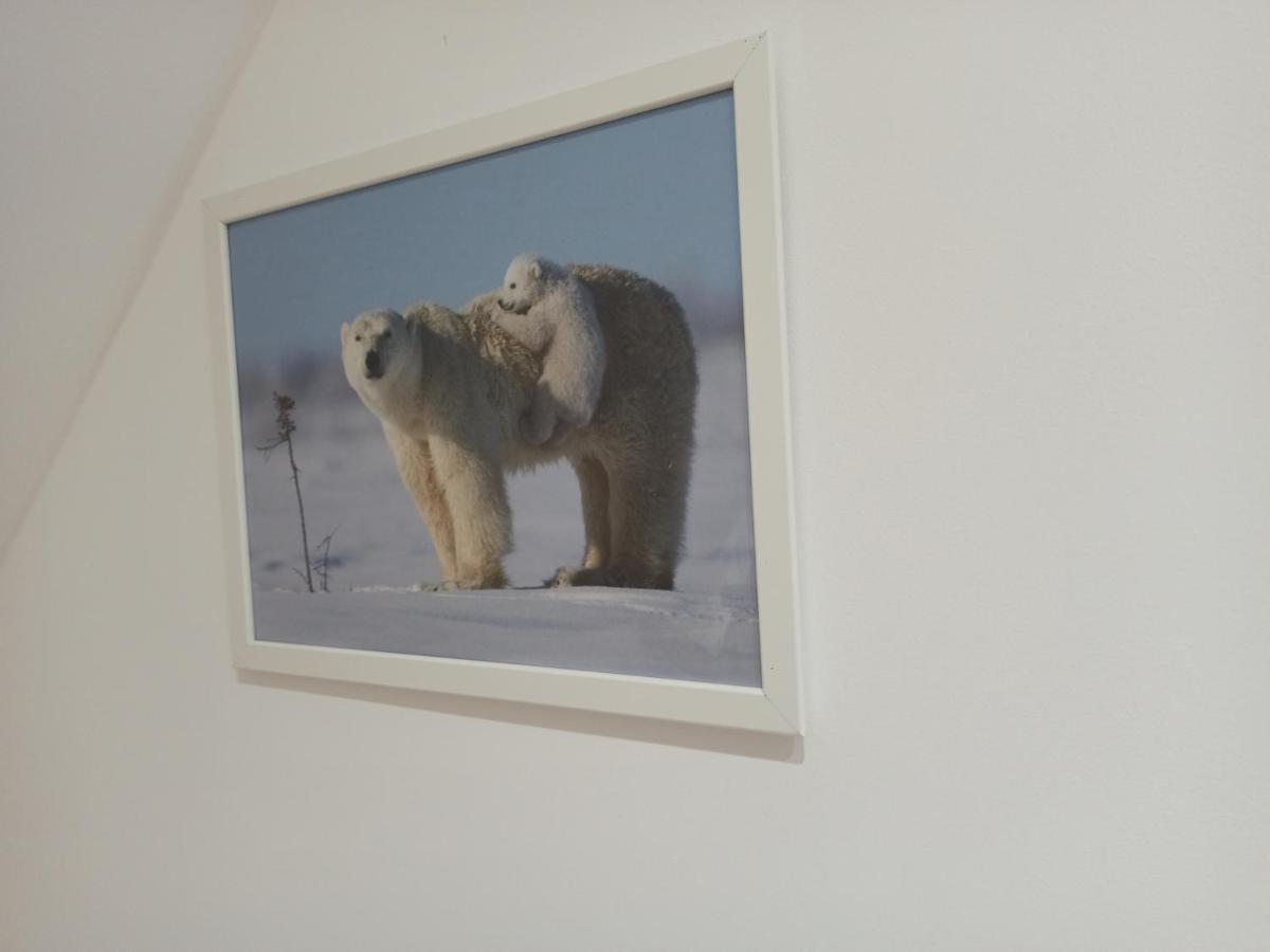 A 4 Min Du Zoo De Beauval La Maison A Partager Ch4 2Eme Etage Saint-Aignan  Exterior photo